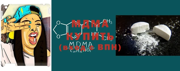 круглые Гусев