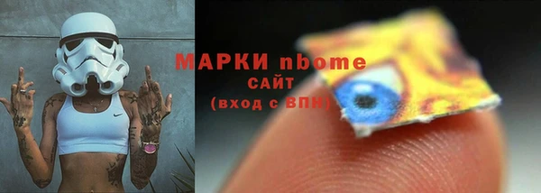 амф Гусь-Хрустальный