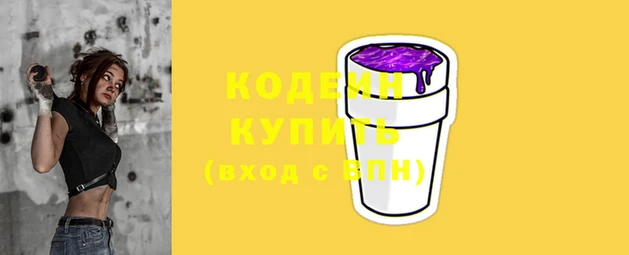 круглые Гусев