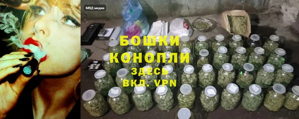 амф Гусь-Хрустальный