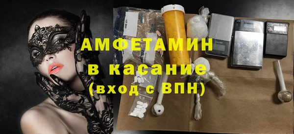 амф Гусь-Хрустальный