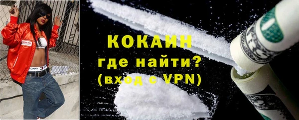 круглые Гусев