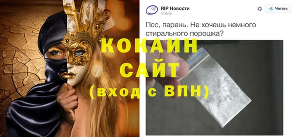 амф Гусь-Хрустальный