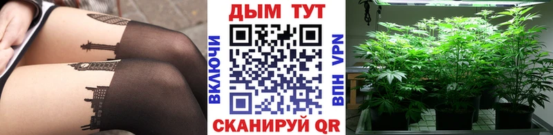 МАРИХУАНА ГИДРОПОН цена наркотик Новоржев